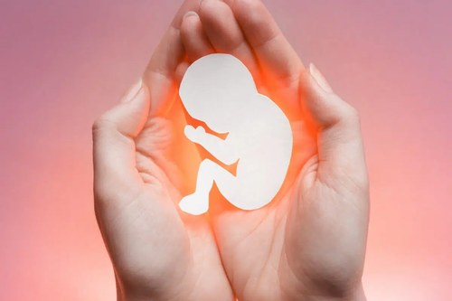 Cupped hands holding a paper cutout of an unborn child against a glowing background